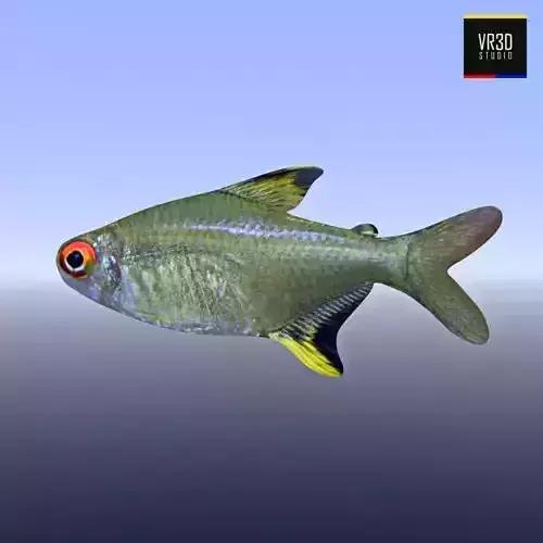 Realistic River Fish