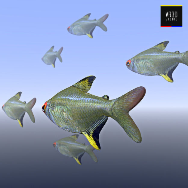 Realistic River Fish 3D model_3