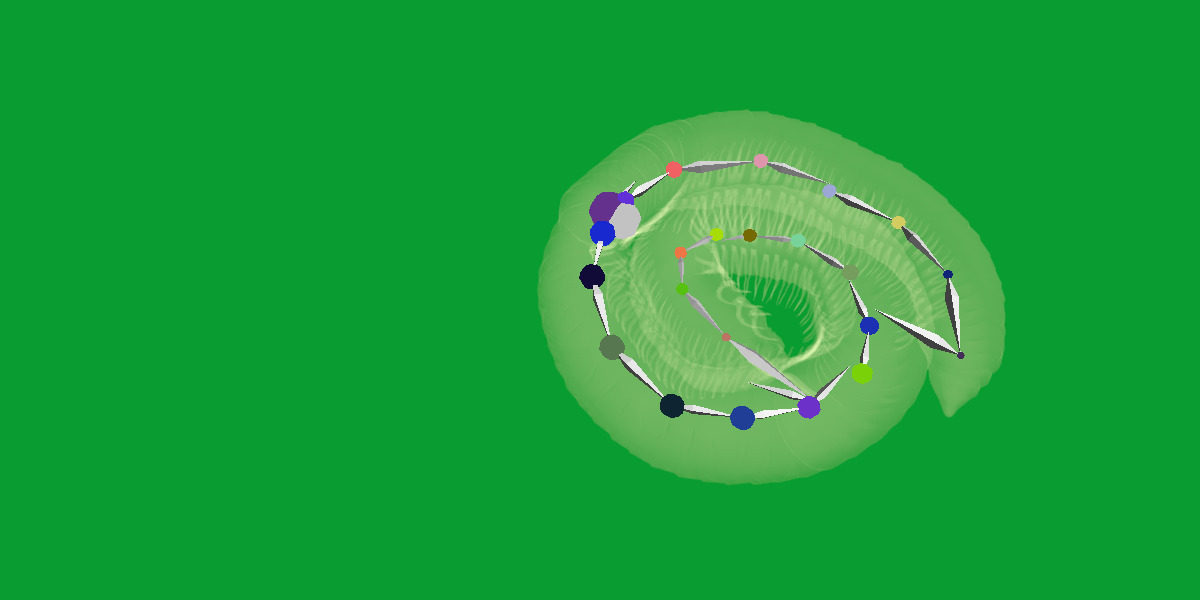 Giant African Millipede 3D model_28