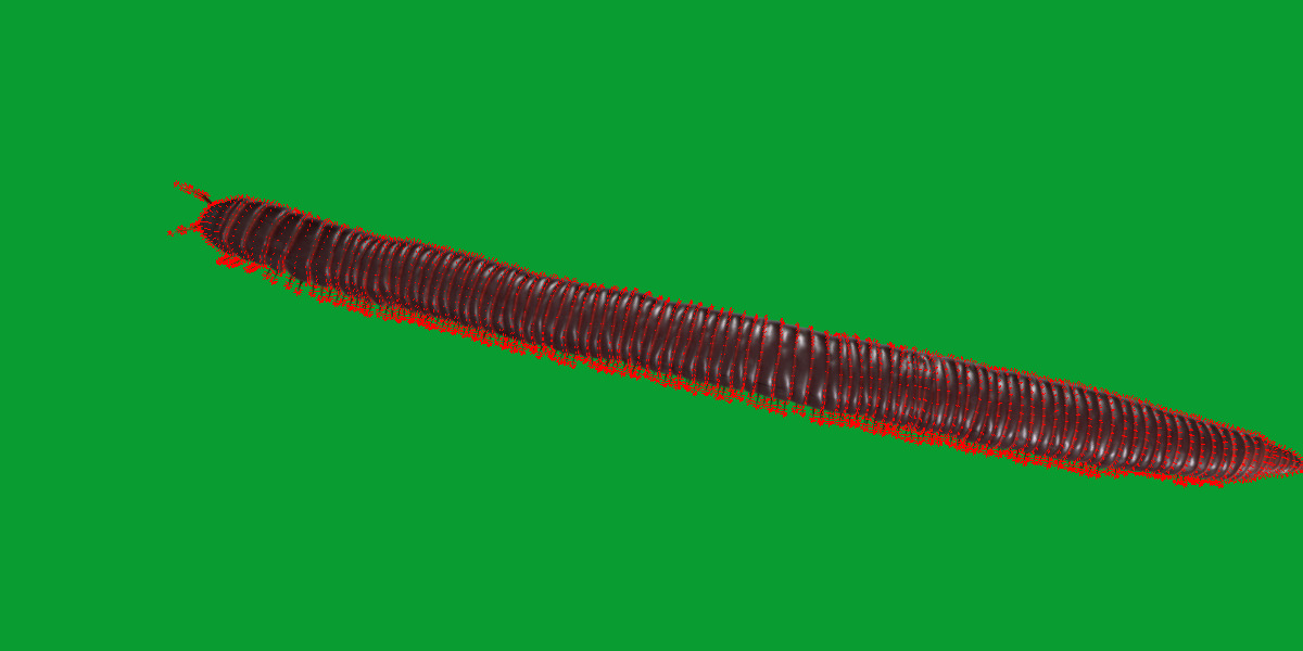 Giant African Millipede 3D model_18