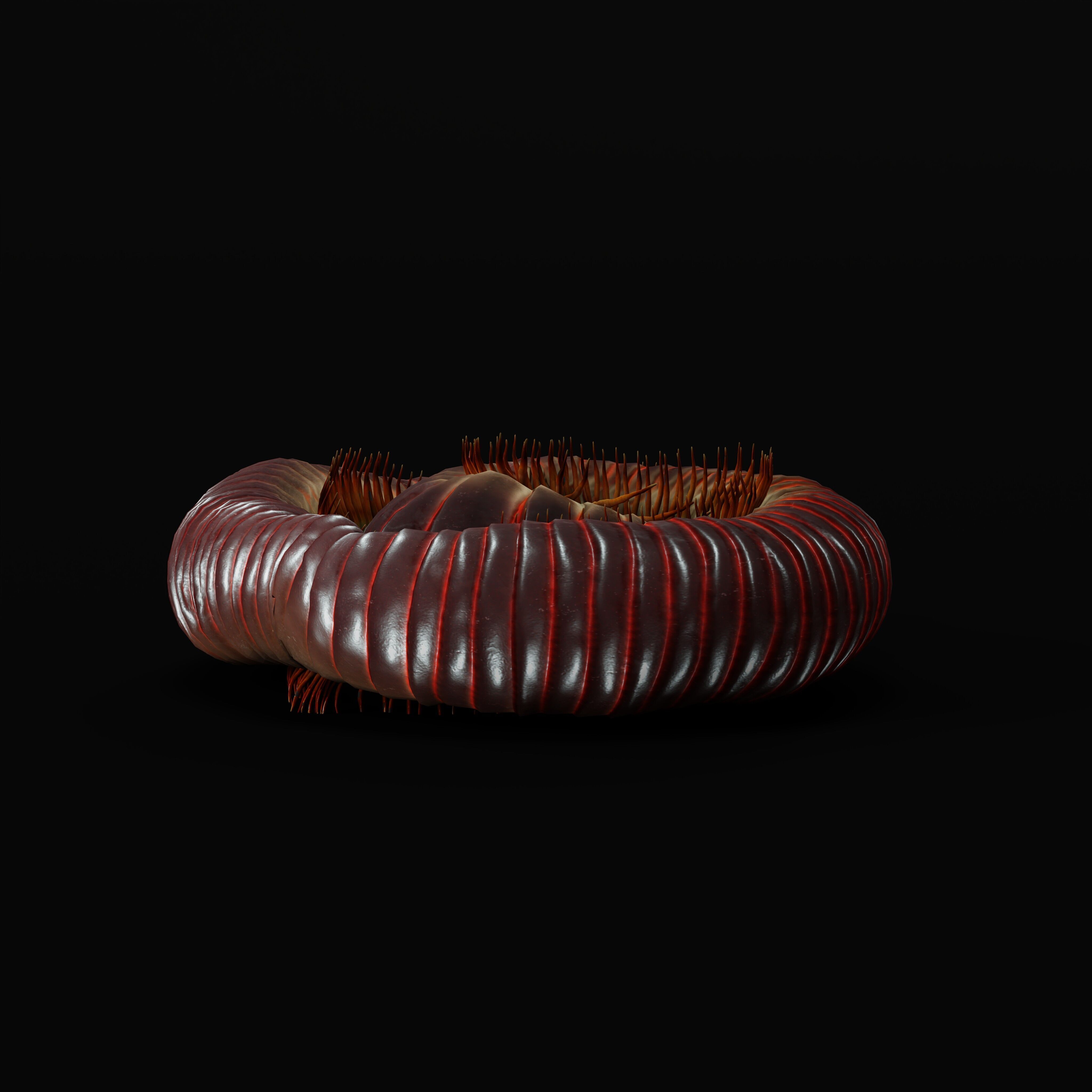 Giant African Millipede 3D model_42