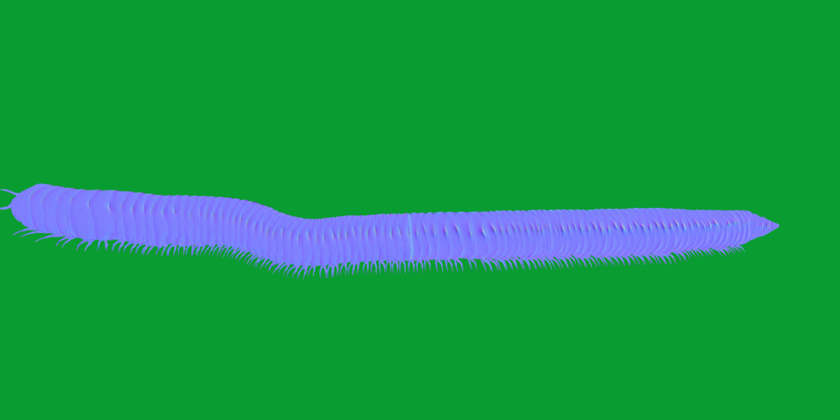 Giant African Millipede 3D model_4