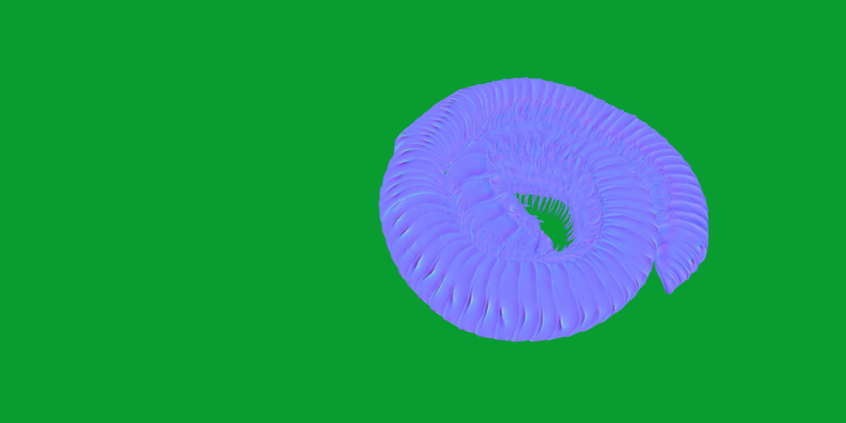 Giant African Millipede 3D model_3