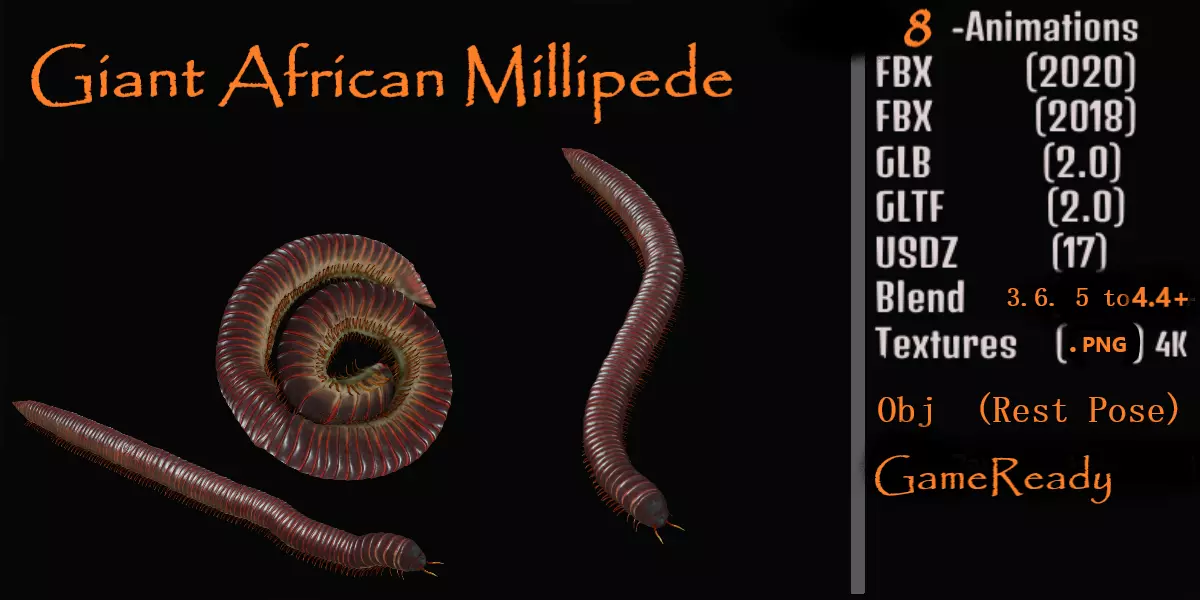 Giant African Millipede 3D model_0