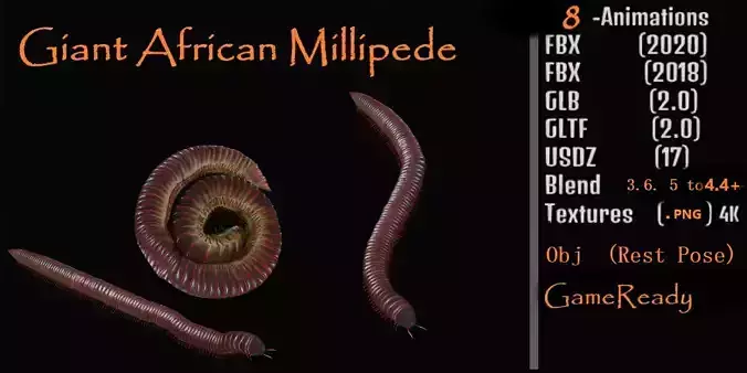 Giant African Millipede 3D model