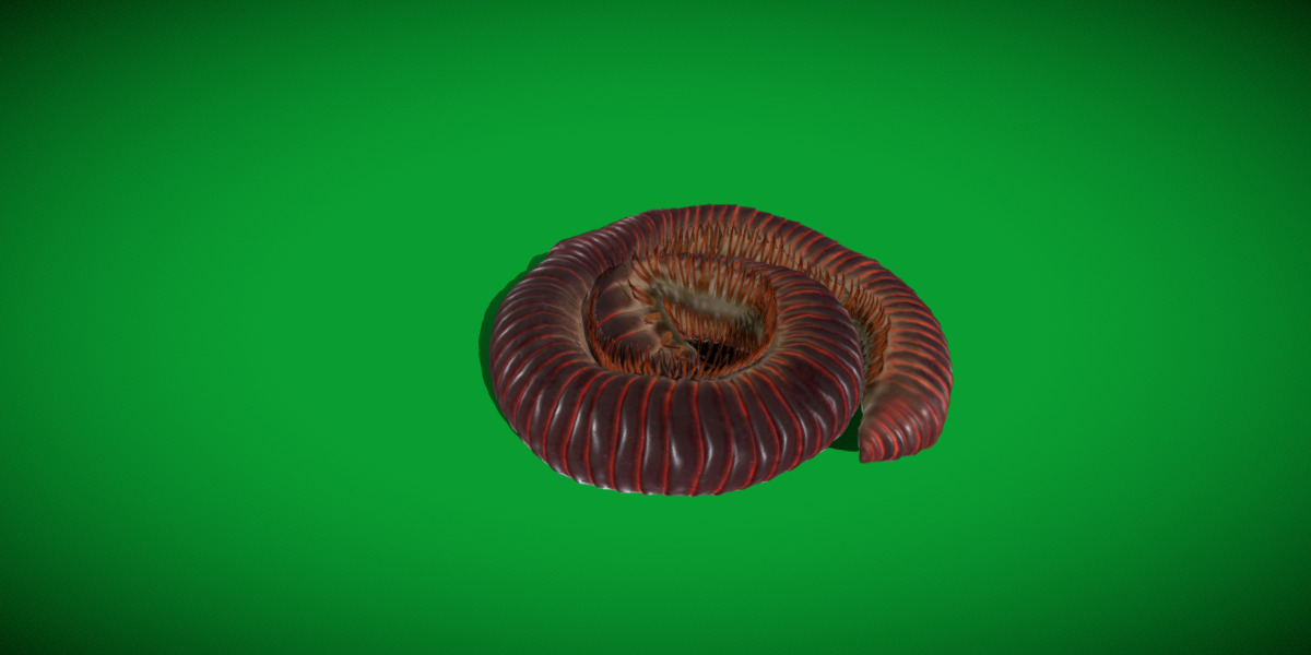 Giant African Millipede 3D model_13