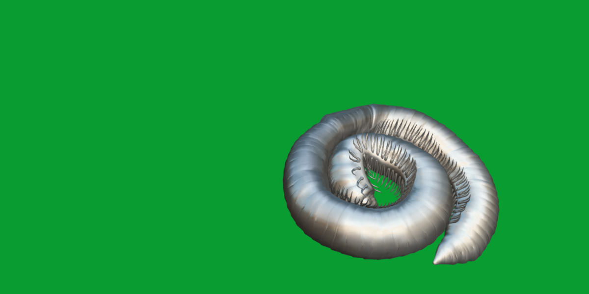 Giant African Millipede 3D model_9