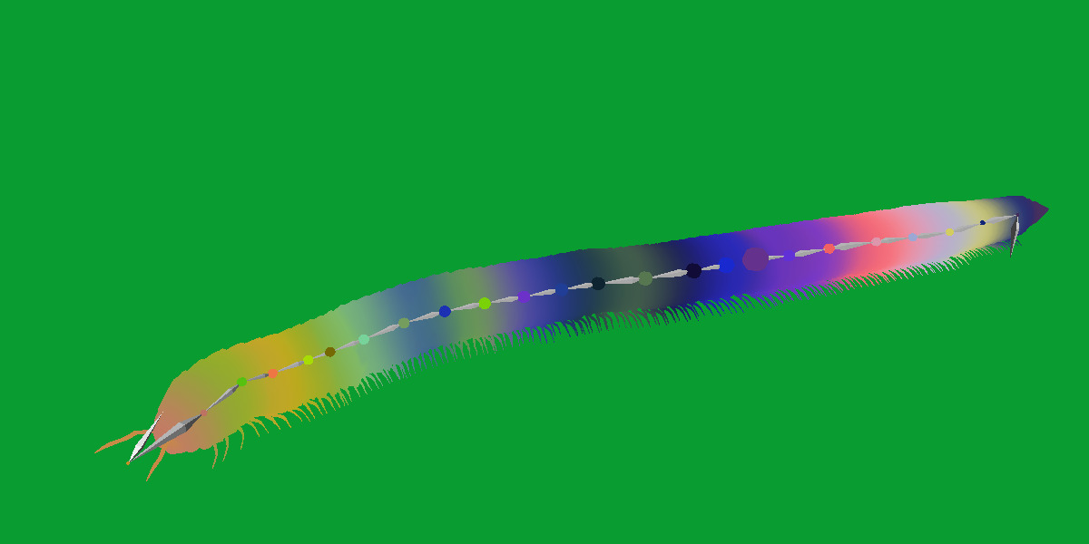 Giant African Millipede 3D model_27