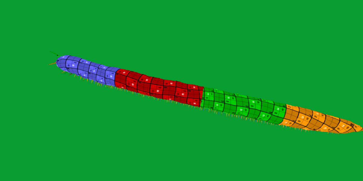 Giant African Millipede 3D model_19