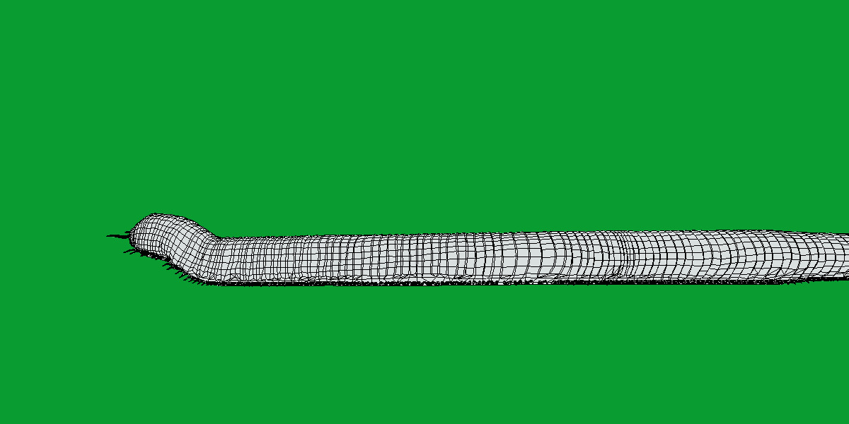 Giant African Millipede 3D model_14