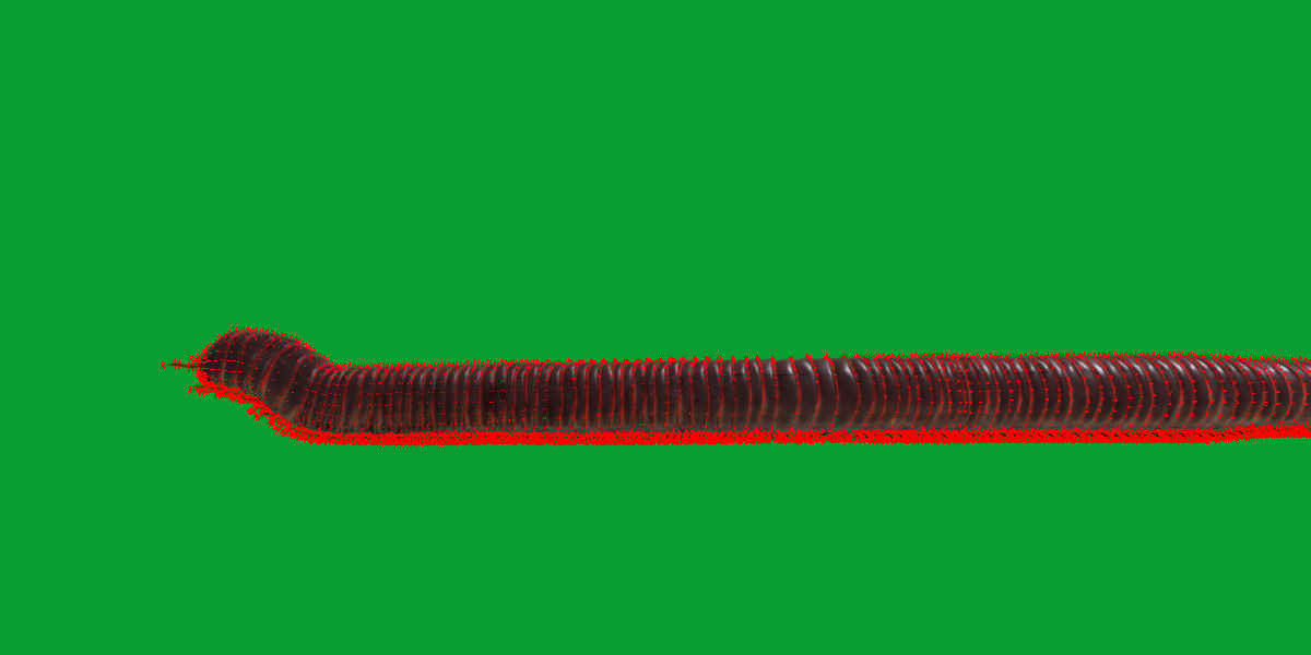 Giant African Millipede 3D model_15