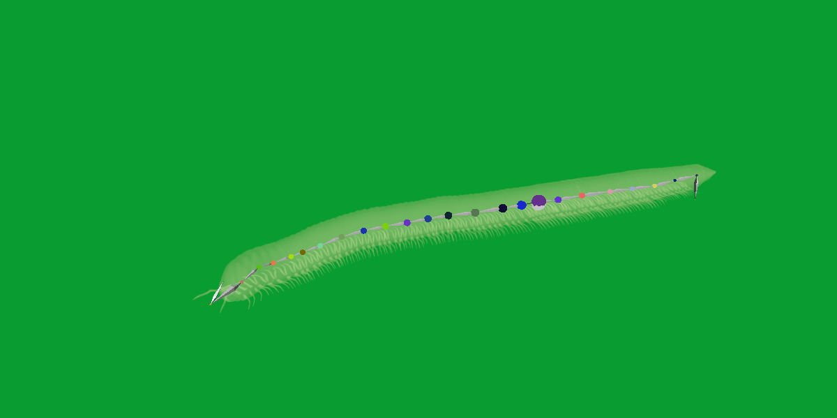 Giant African Millipede 3D model_26