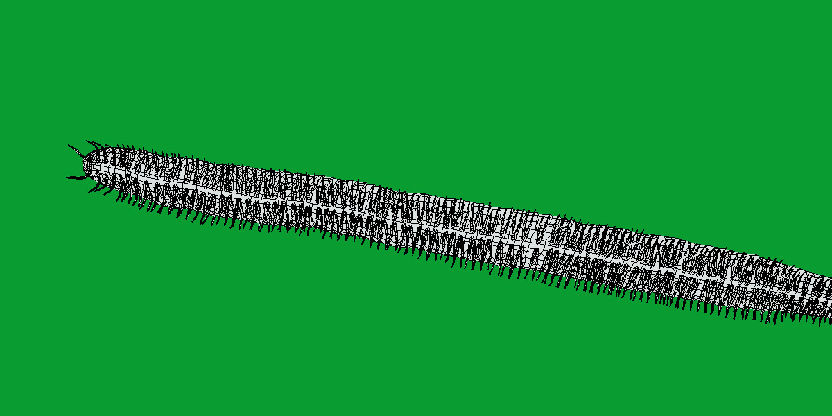 Giant African Millipede 3D model_12