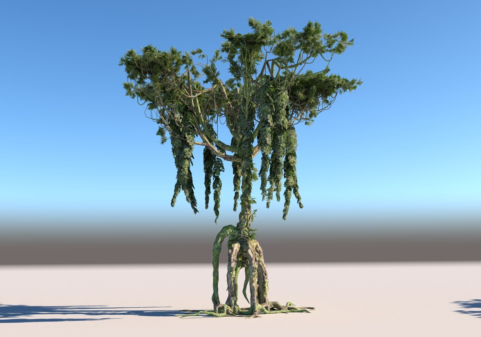 Rainforest Pack 12 Low-poly 3D model_9