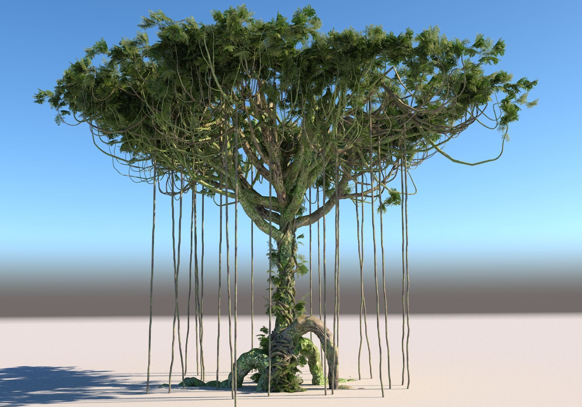 Rainforest Pack 12 Low-poly 3D model_15