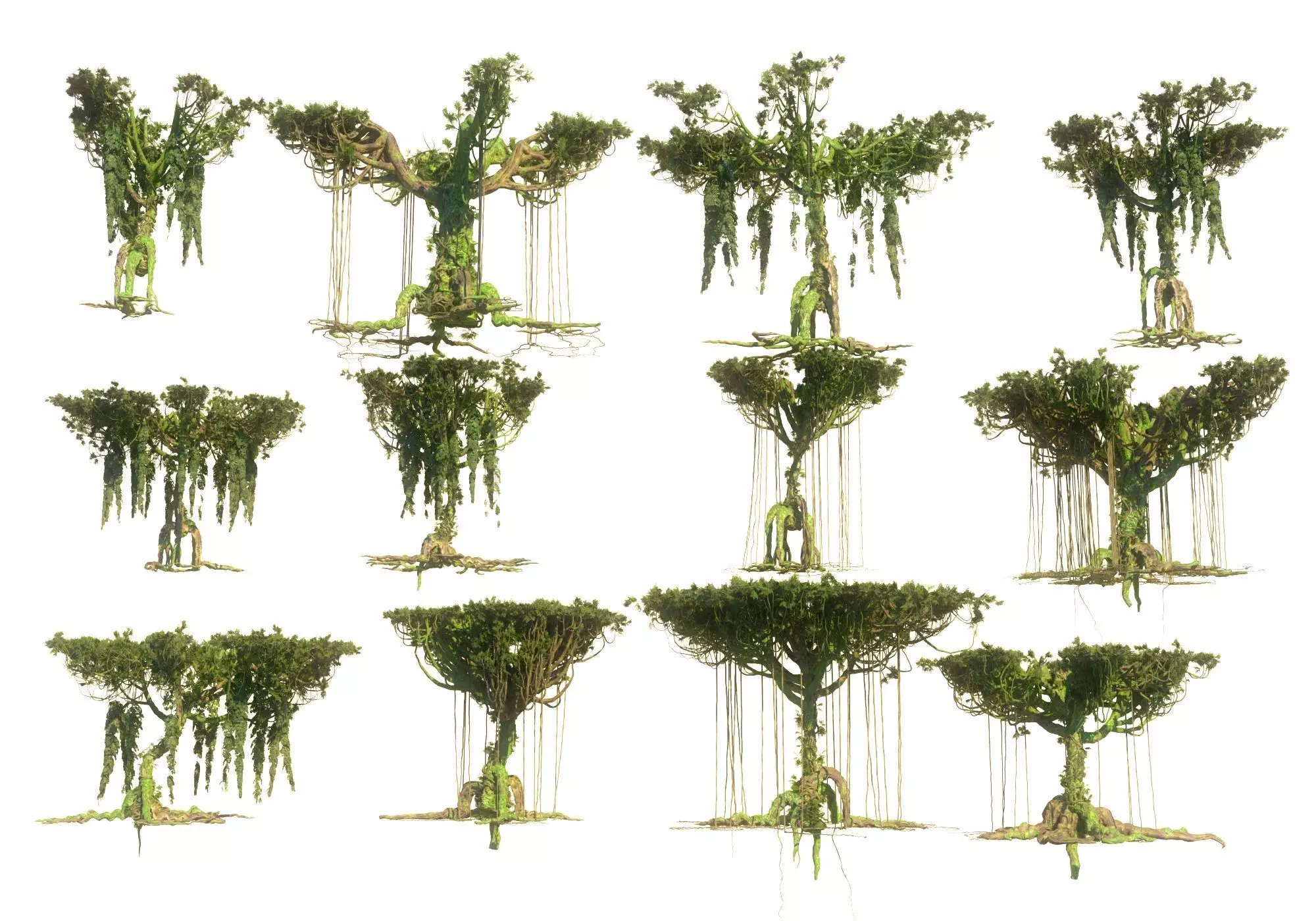 Rainforest Pack 12 Low-poly 3D model_0