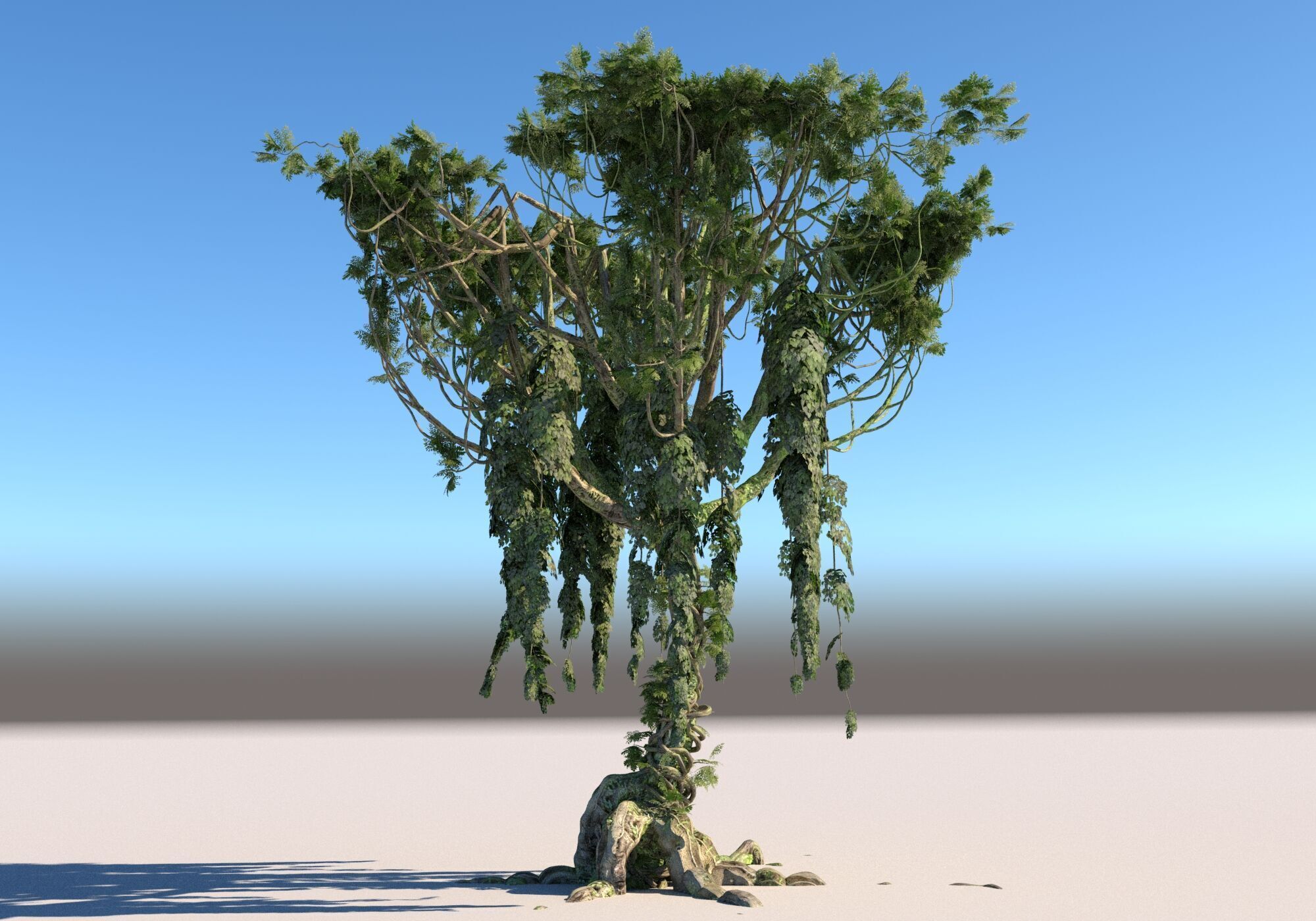 Rainforest Pack 12 Low-poly 3D model_11