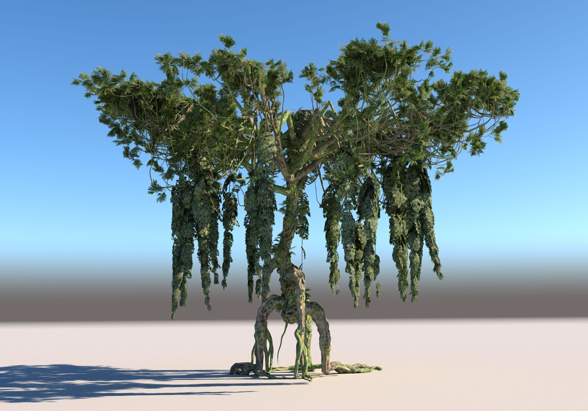 Rainforest Pack 12 Low-poly 3D model_10