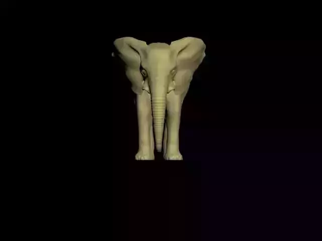 Elephant 3d models maya scene and 3ds max file