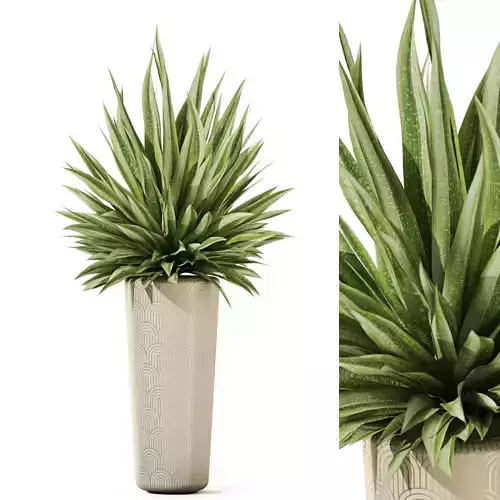 Plants collection 1184 3D model