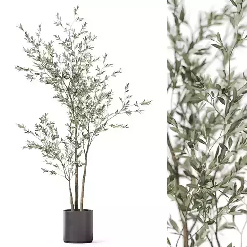Plants collection 1186 3D model
