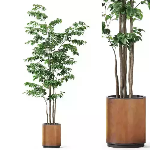 Plants collection 1188