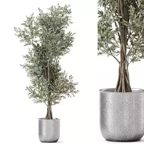 Plants collection 1190