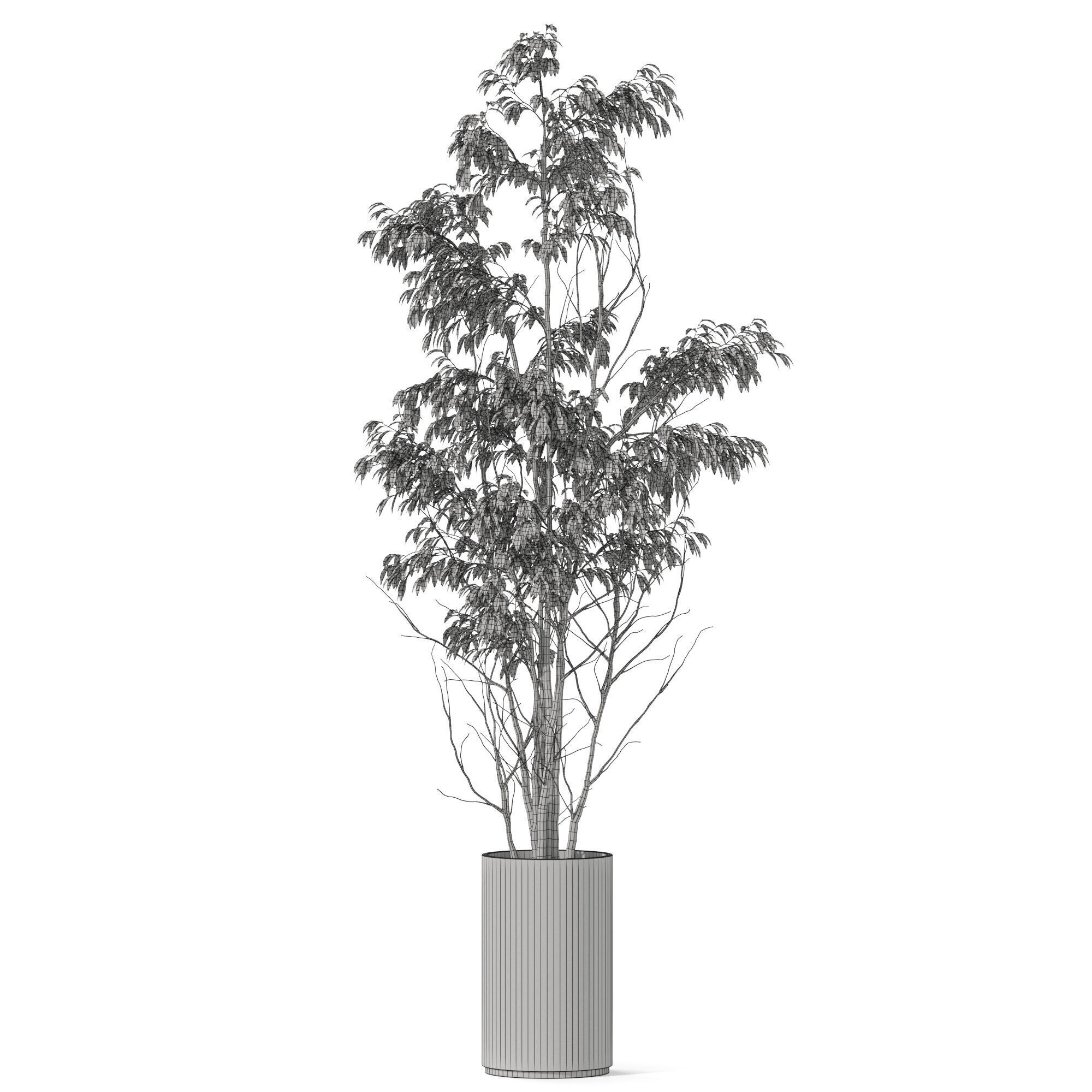 Plants collection 1193 3D model_4