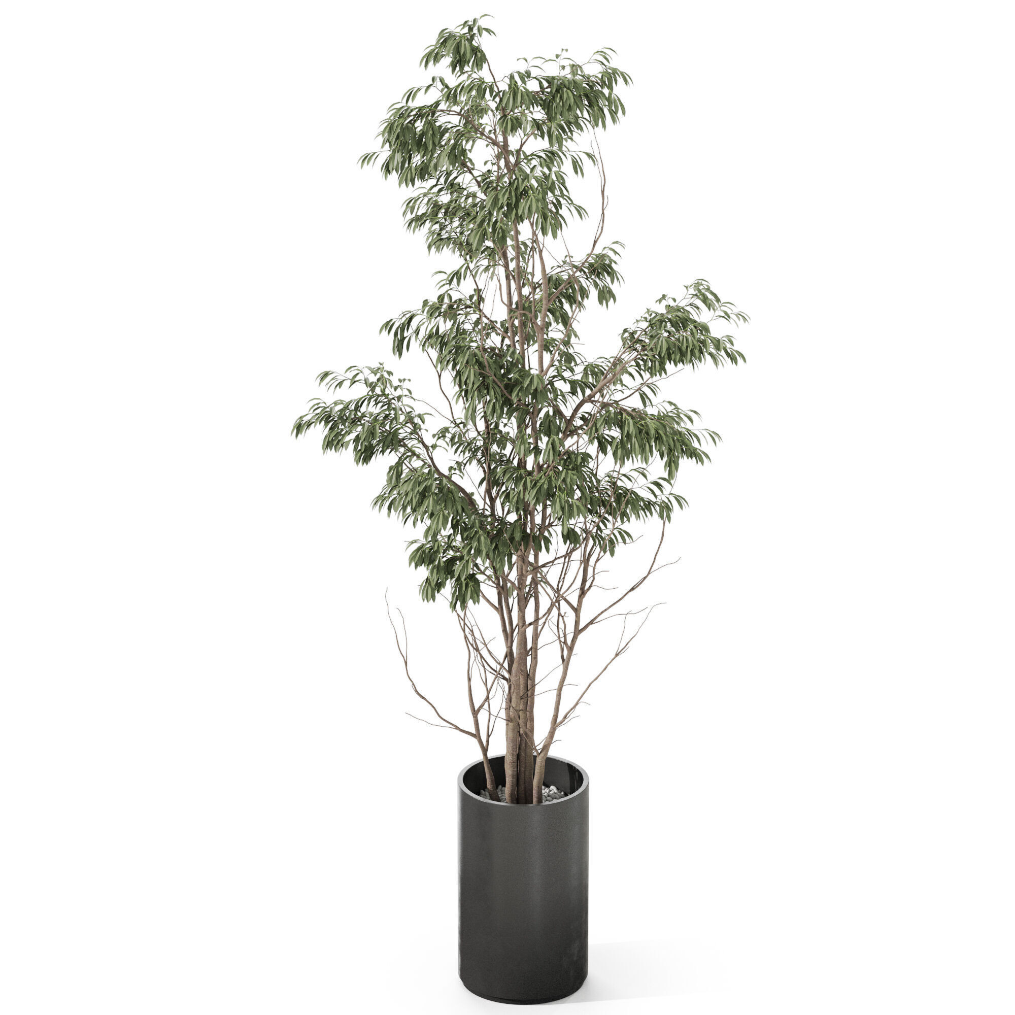 Plants collection 1193 3D model_3