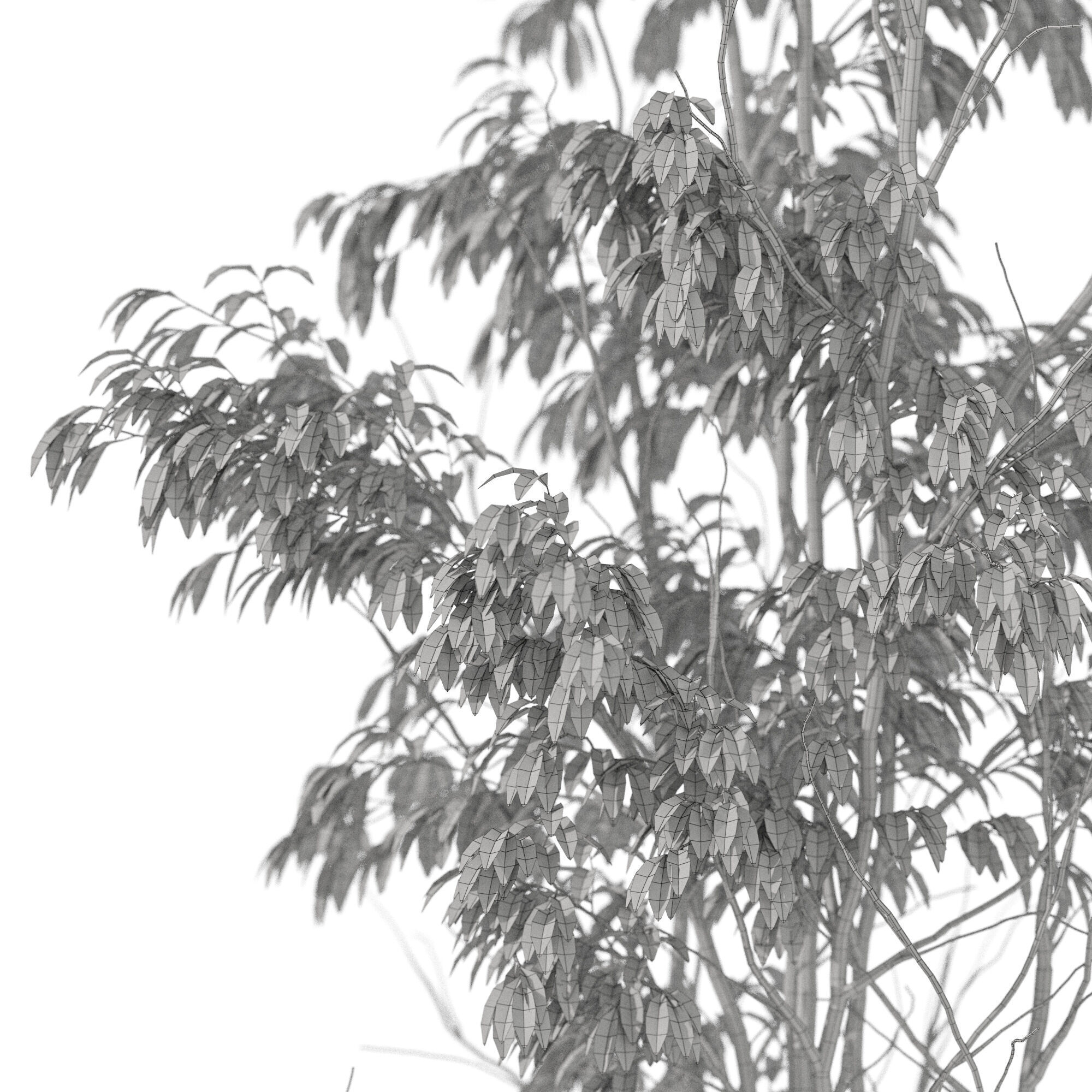 Plants collection 1193 3D model_5