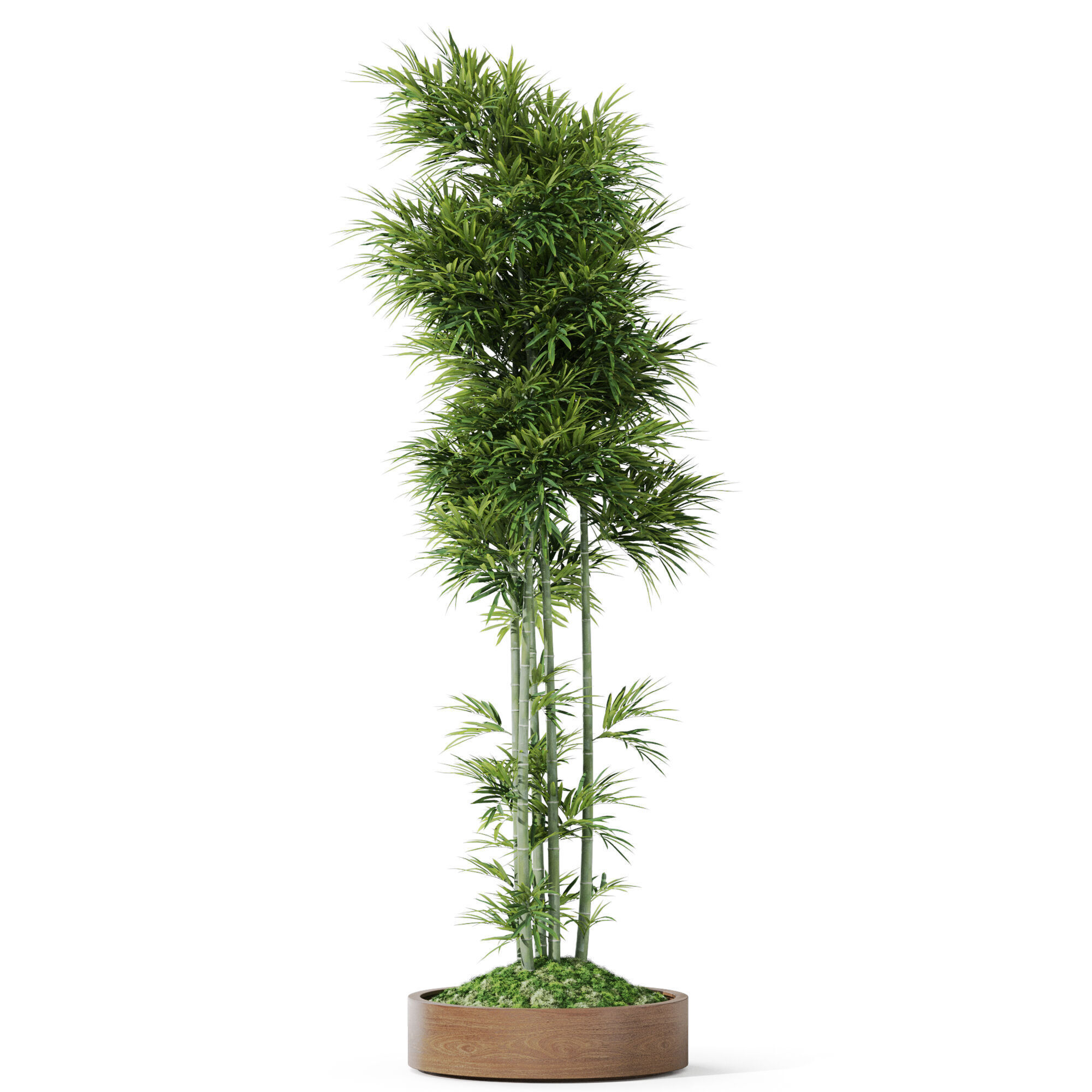 Plants collection 1194 3D model_1