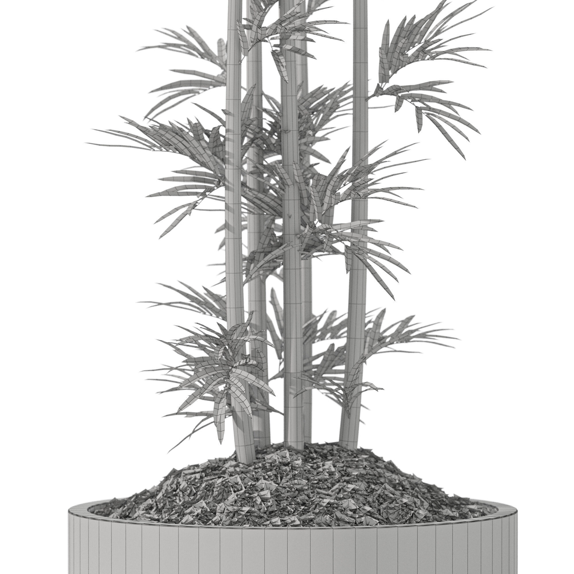 Plants collection 1194 3D model_5