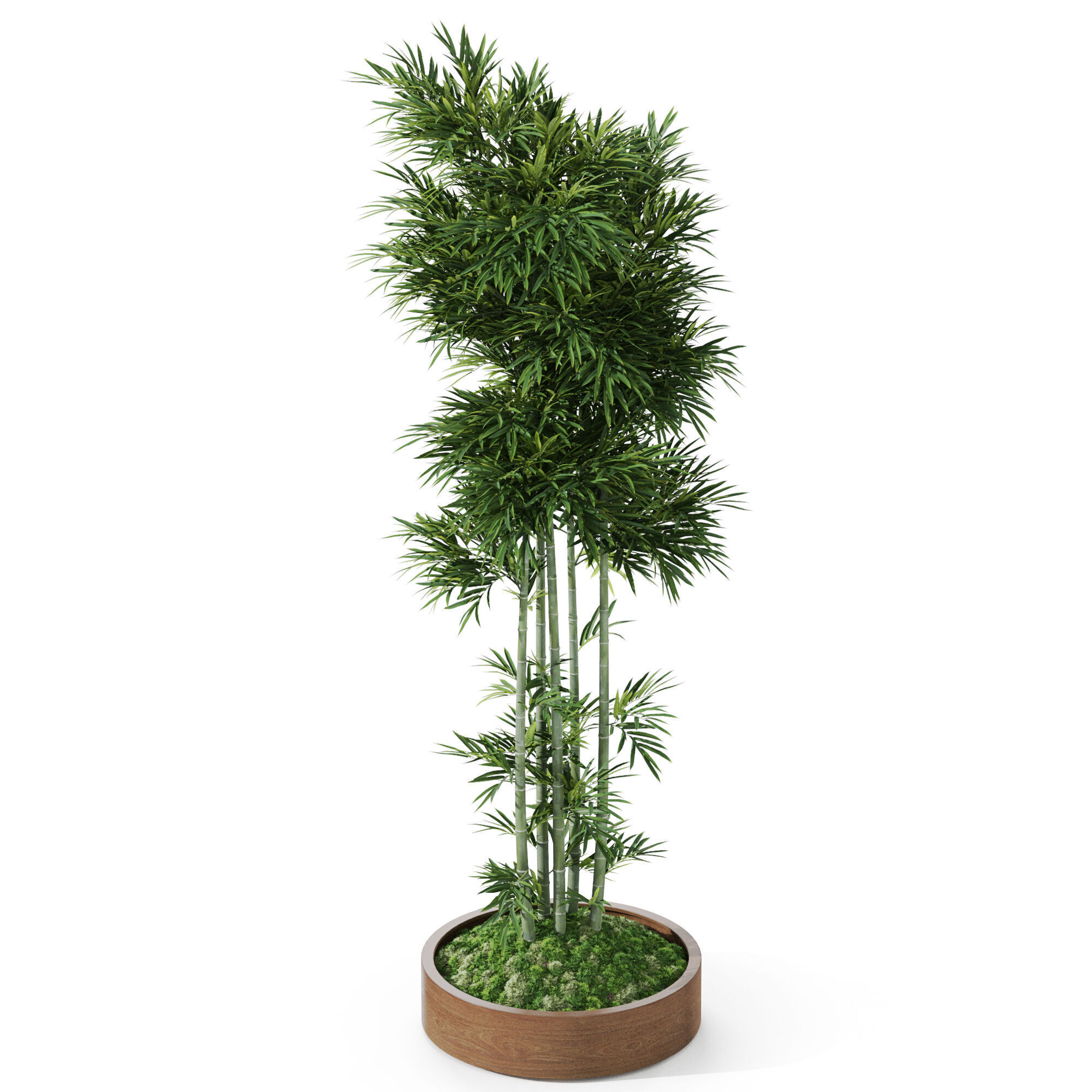 Plants collection 1194 3D model_3