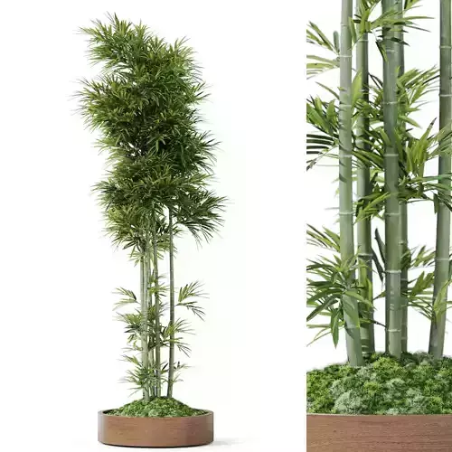 Plants collection 1194 3D model