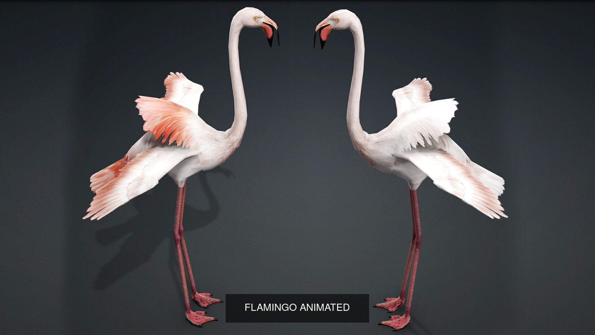 32 PACK OF REALISTIC WILD ANIMALS 3D Model Collection_75