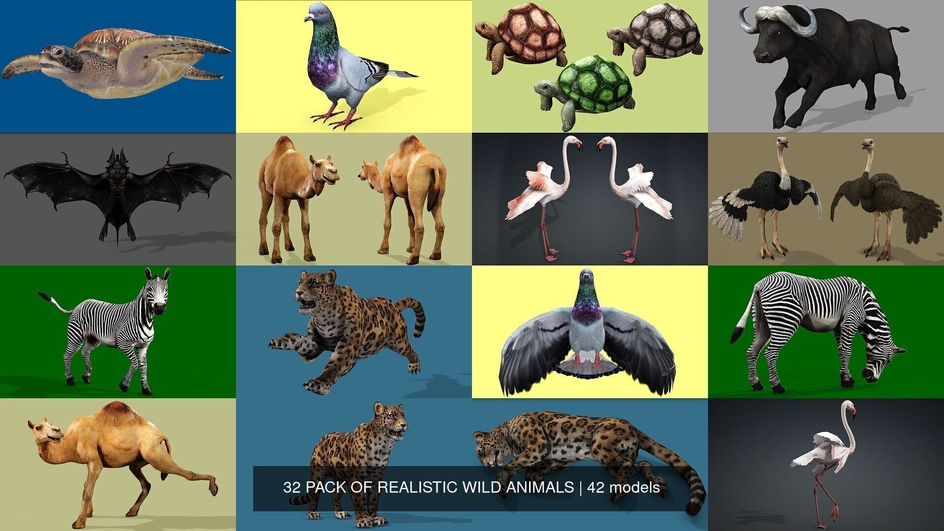 32 PACK OF REALISTIC WILD ANIMALS 3D Model Collection_34