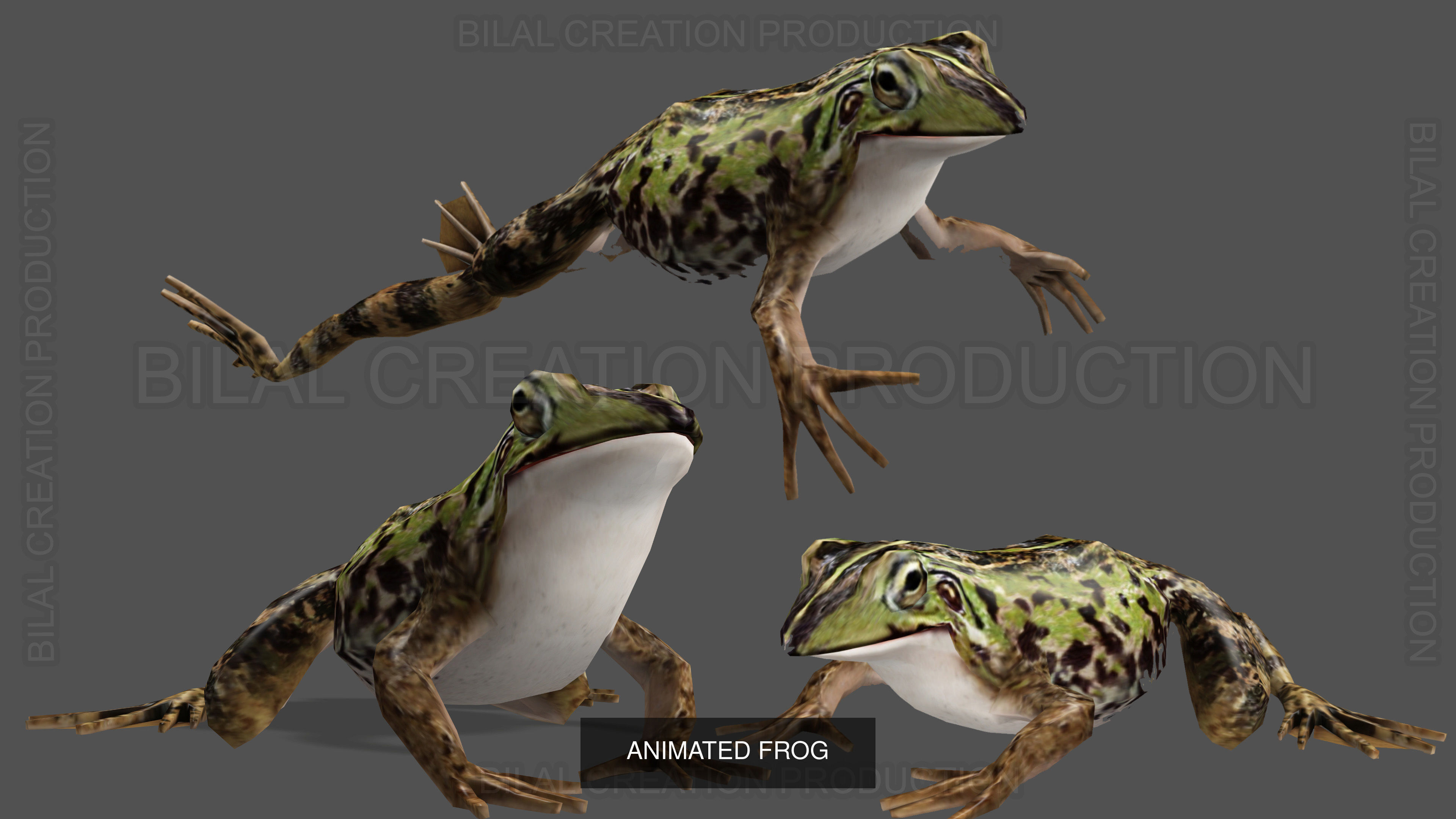 32 PACK OF REALISTIC WILD ANIMALS 3D Model Collection_56
