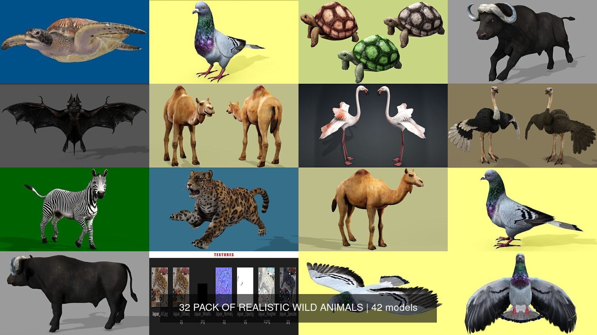 32 PACK OF REALISTIC WILD ANIMALS 3D Model Collection_37