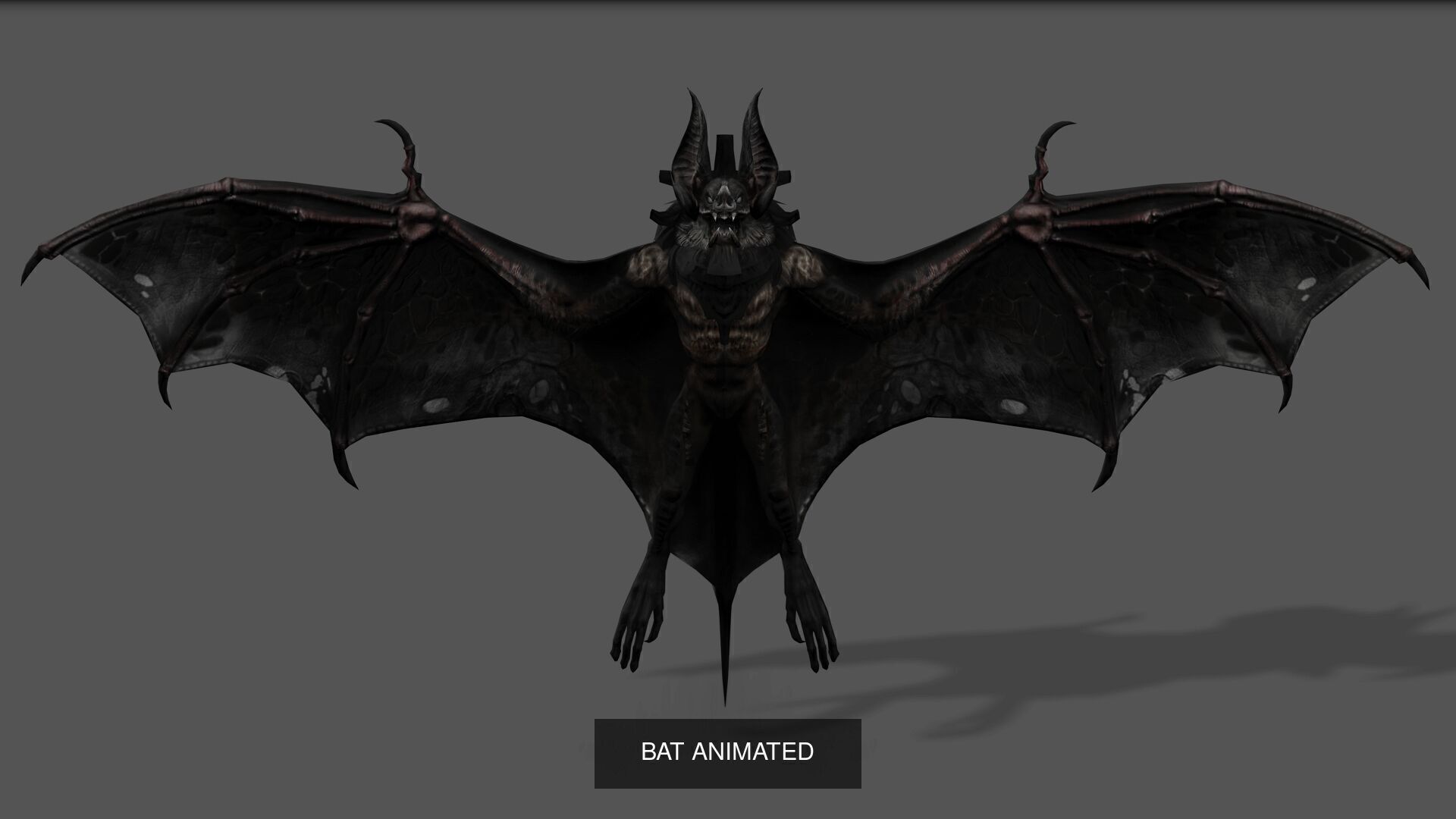 32 PACK OF REALISTIC WILD ANIMALS 3D Model Collection_73