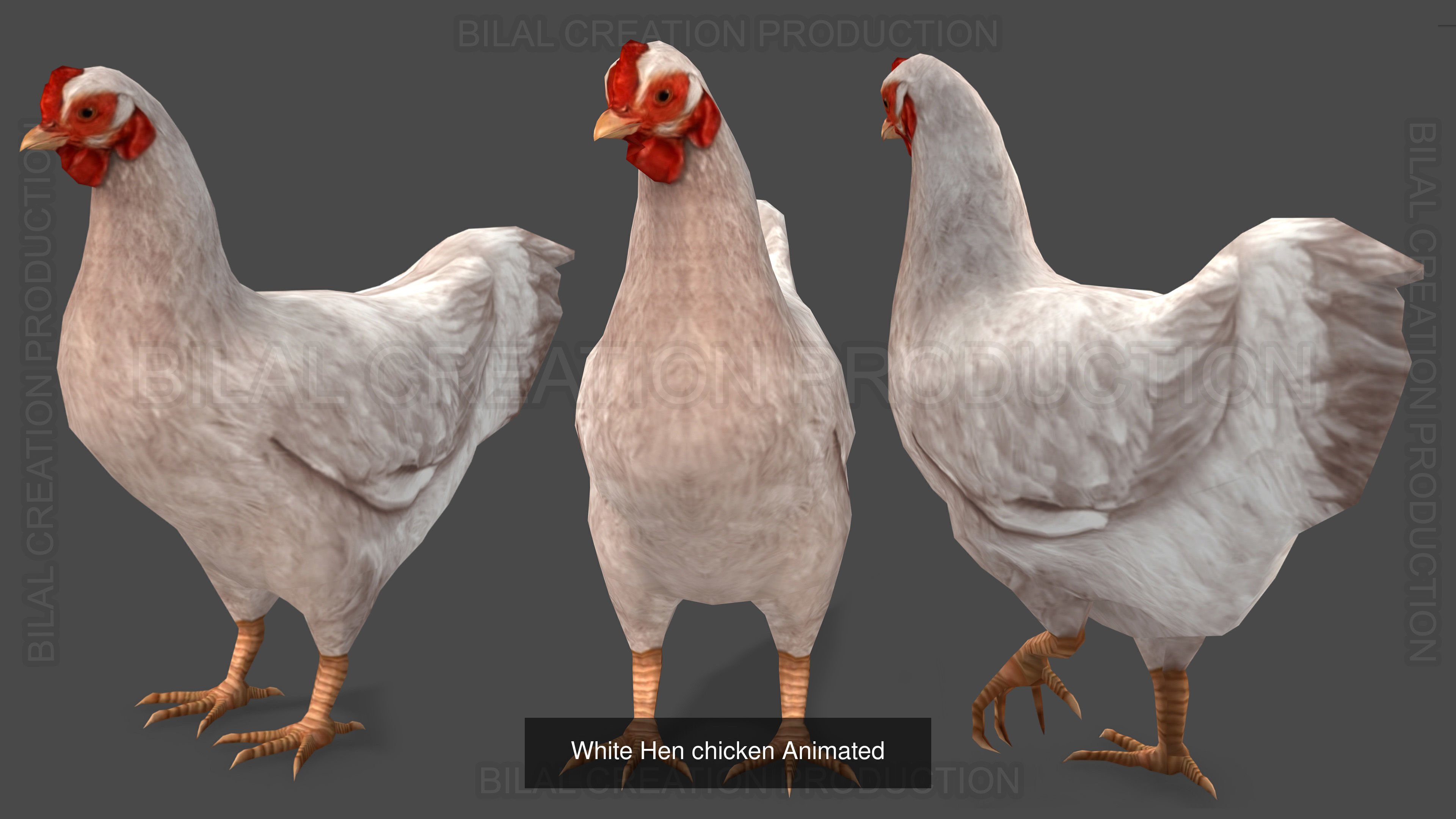 32 PACK OF REALISTIC WILD ANIMALS 3D Model Collection_53