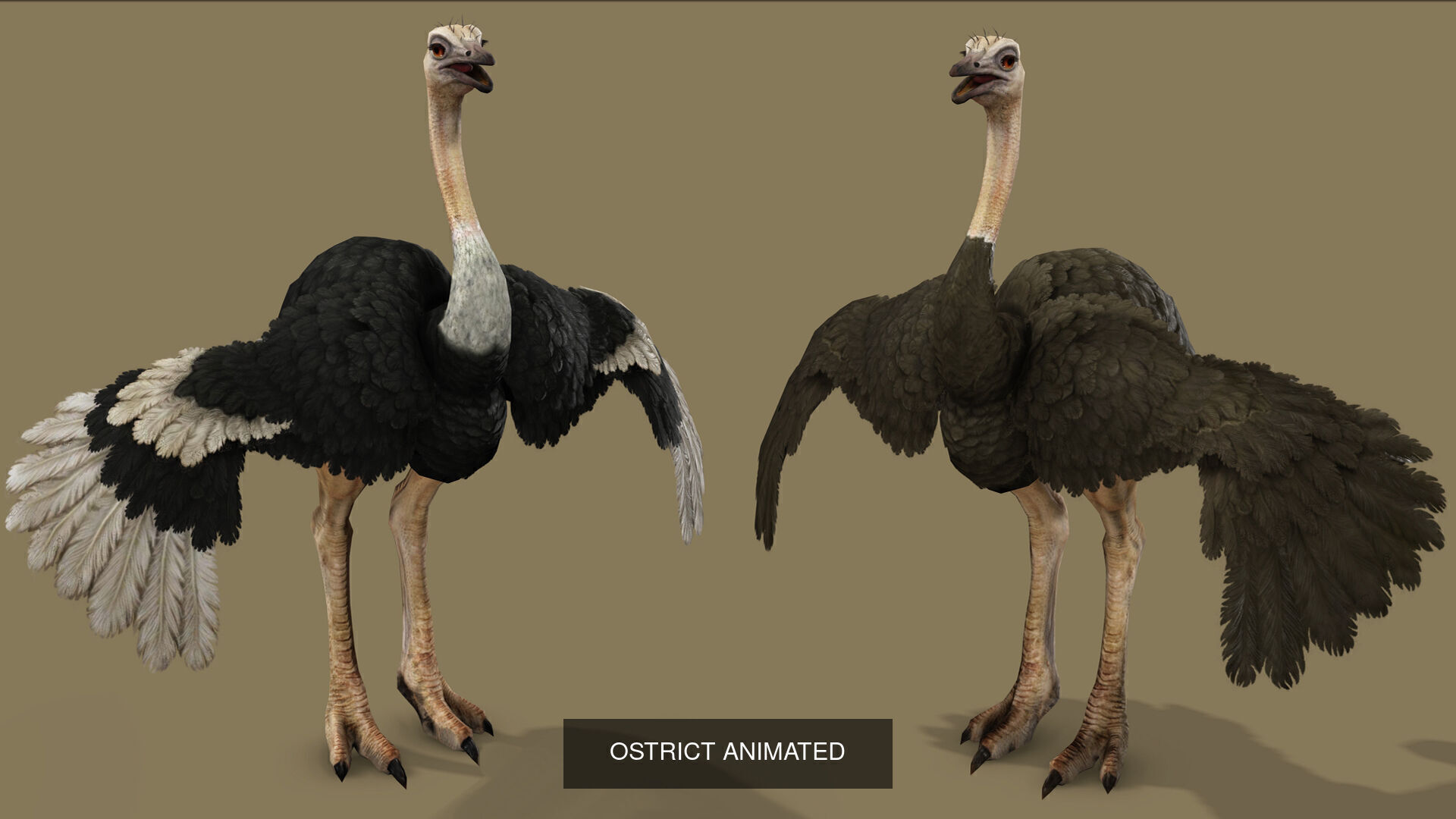 32 PACK OF REALISTIC WILD ANIMALS 3D Model Collection_76