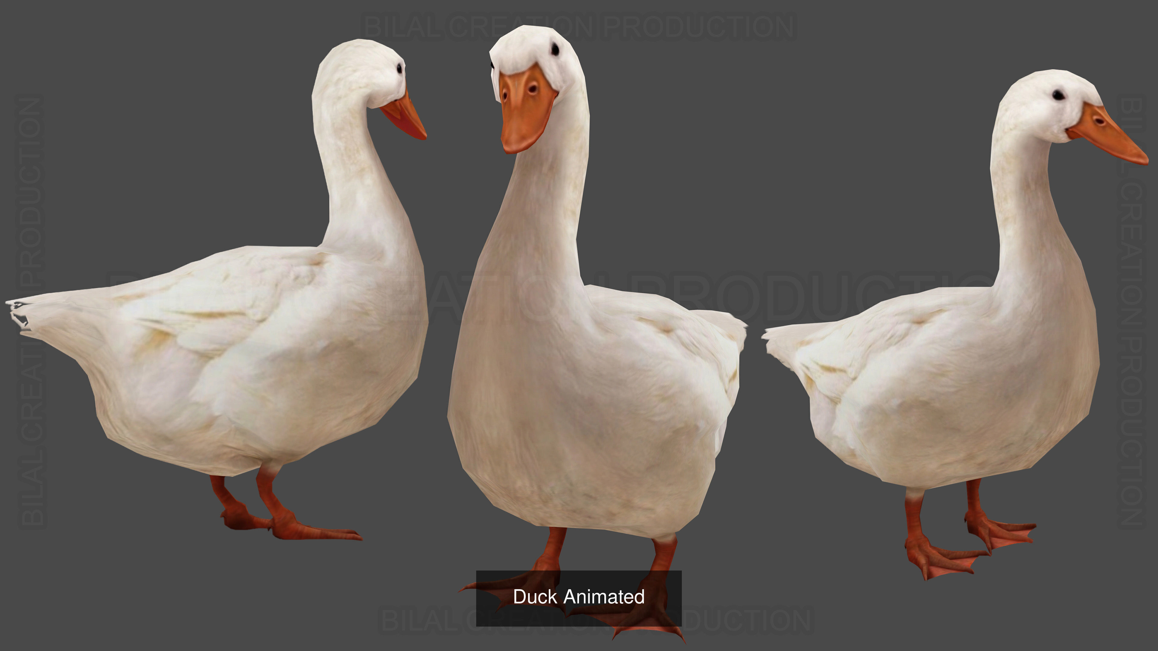 32 PACK OF REALISTIC WILD ANIMALS 3D Model Collection_48