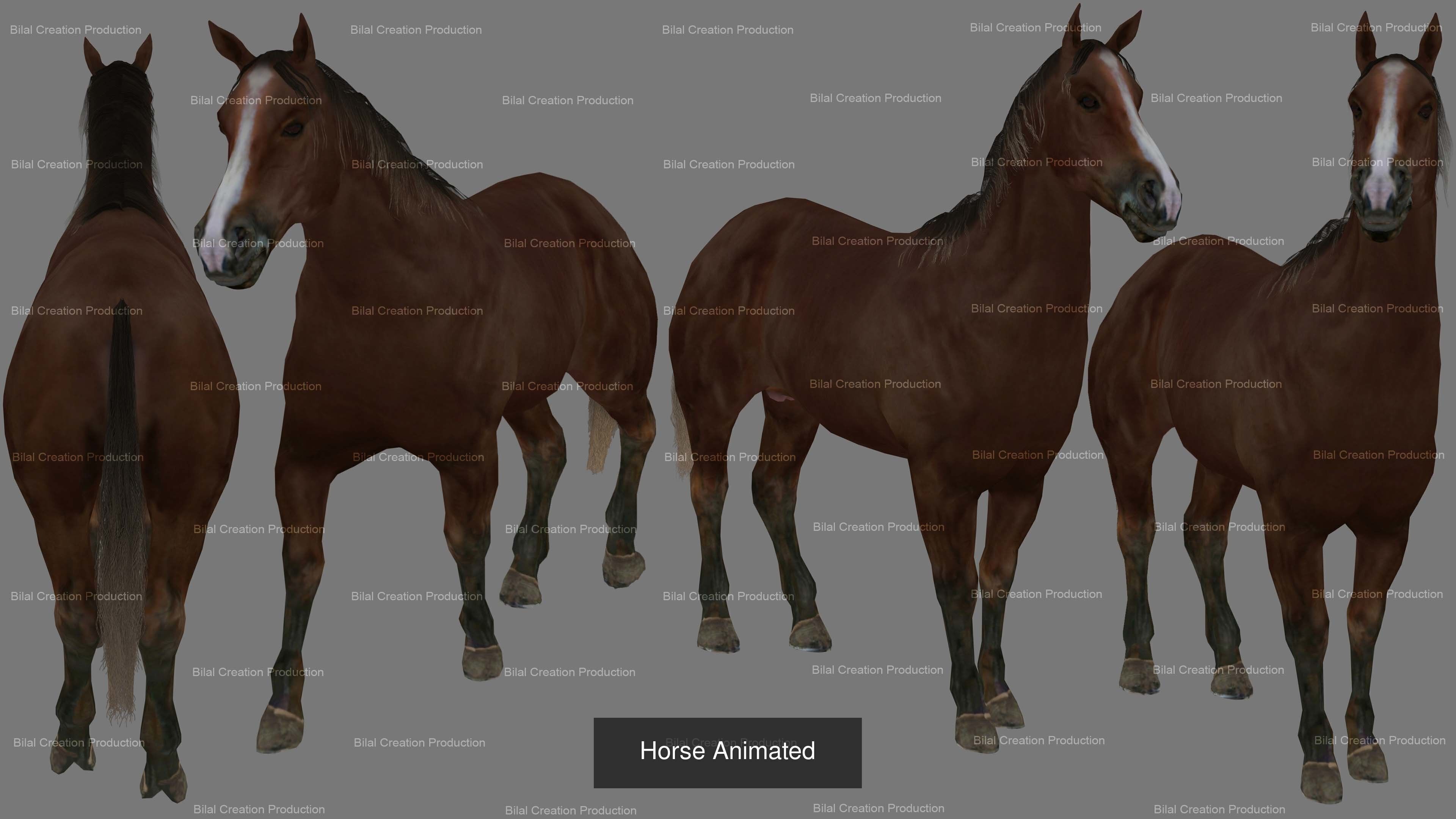 32 PACK OF REALISTIC WILD ANIMALS 3D Model Collection_40