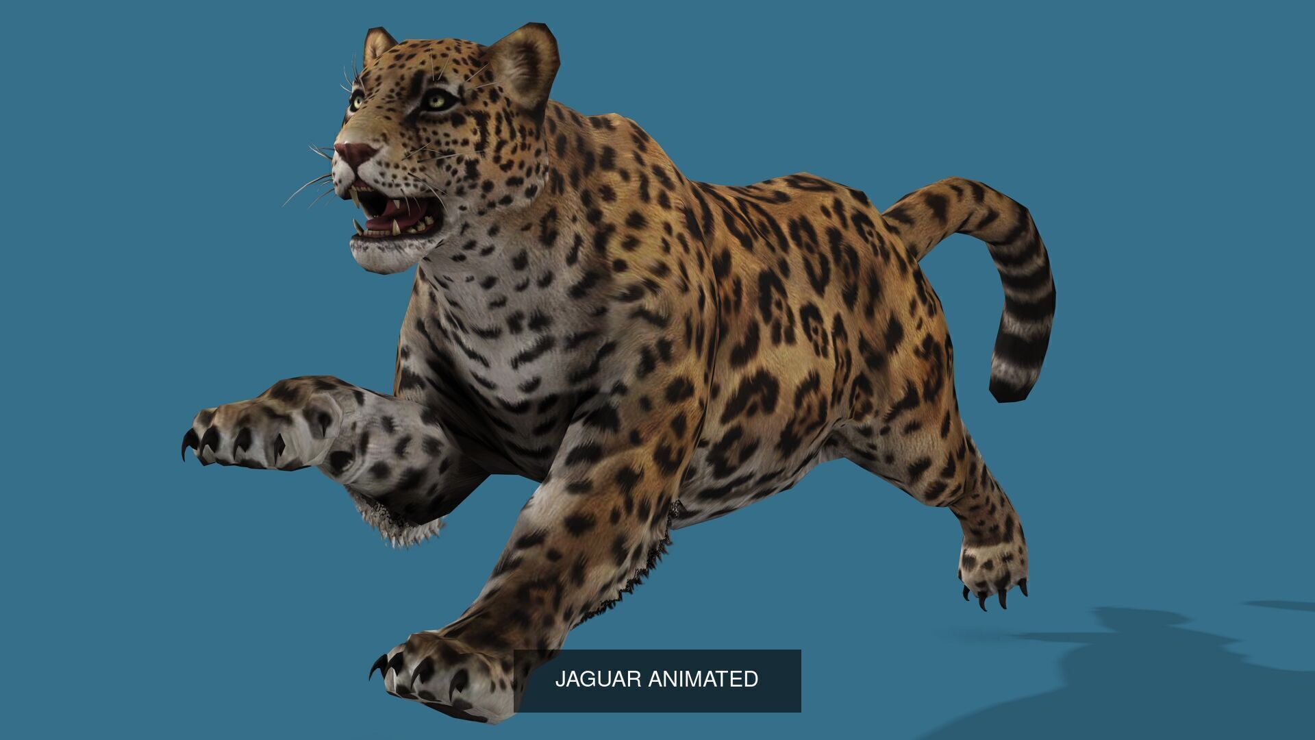 32 PACK OF REALISTIC WILD ANIMALS 3D Model Collection_78