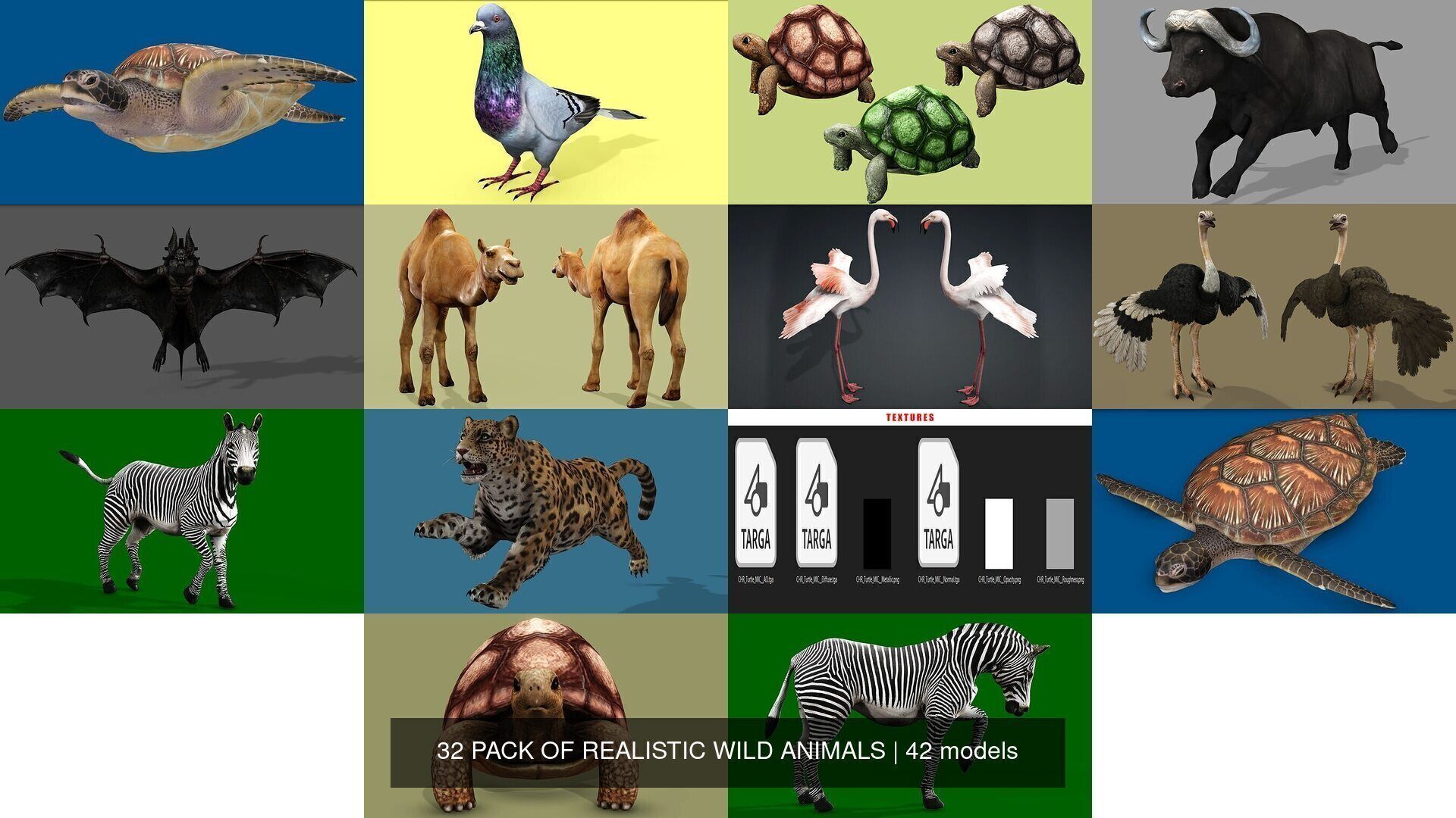 32 PACK OF REALISTIC WILD ANIMALS 3D Model Collection_36