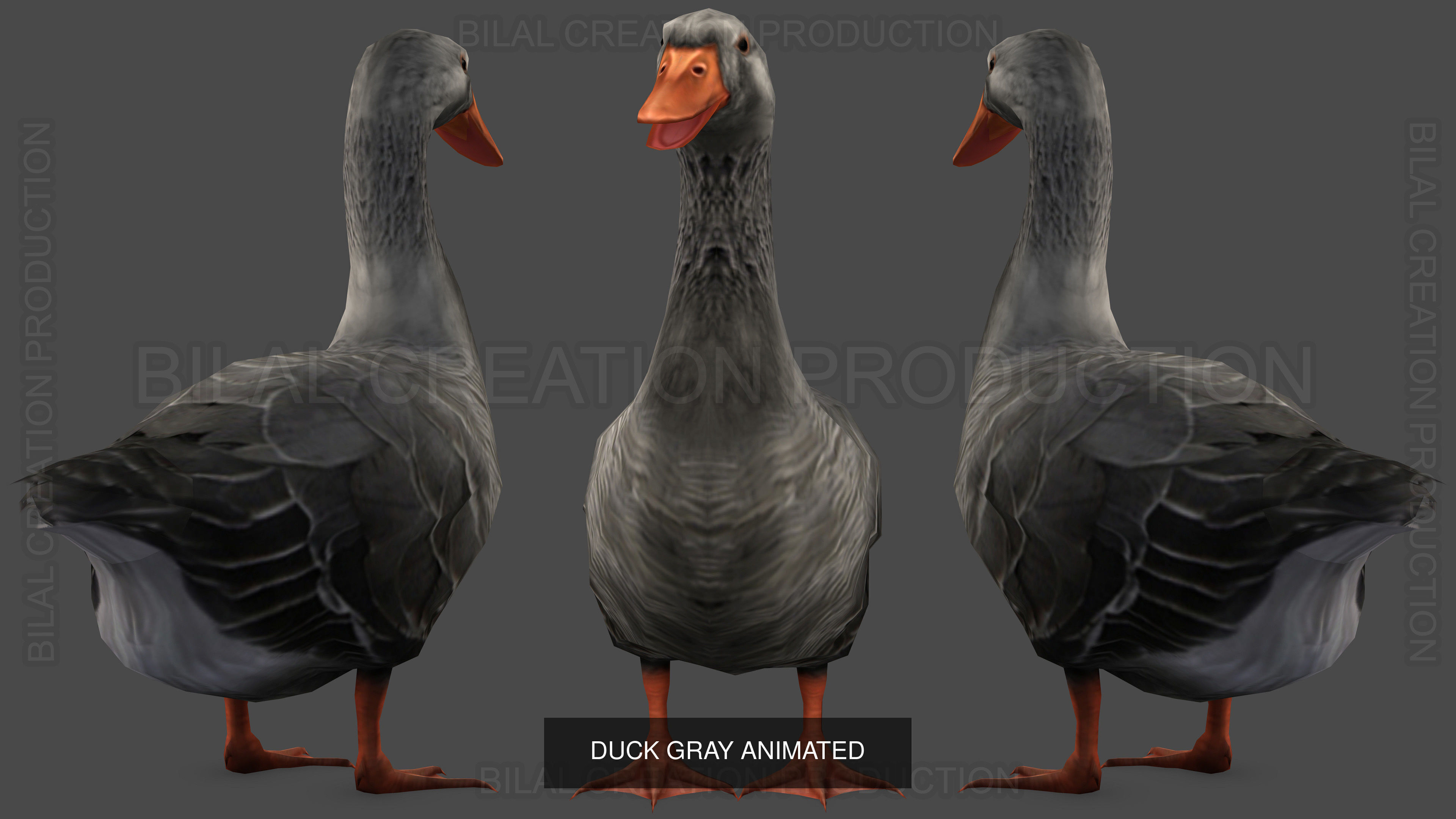 32 PACK OF REALISTIC WILD ANIMALS 3D Model Collection_55