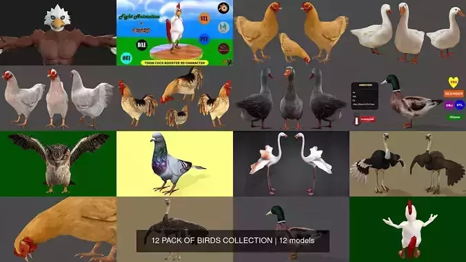 12 PACK OF BIRDS COLLECTION 