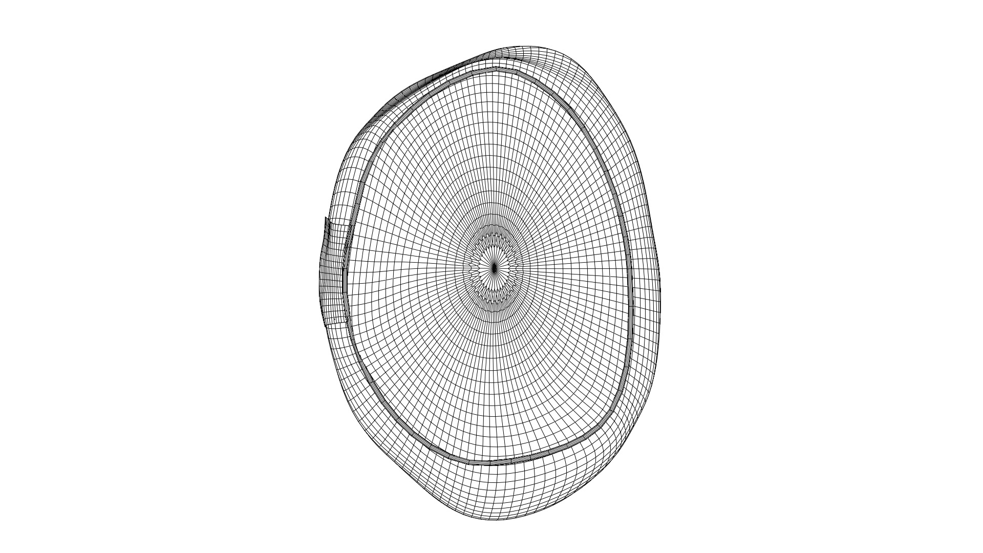 High Detailed Pet Rock 8 PBR 3D model_13