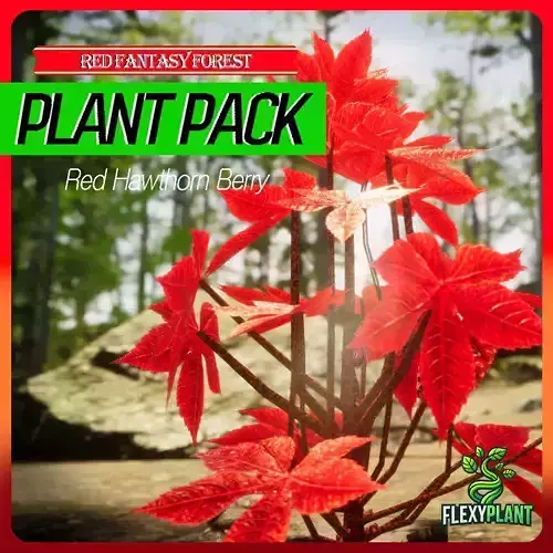 Red Fantasy Forest - 6 Red Hawthorn Berry Fruit Plant