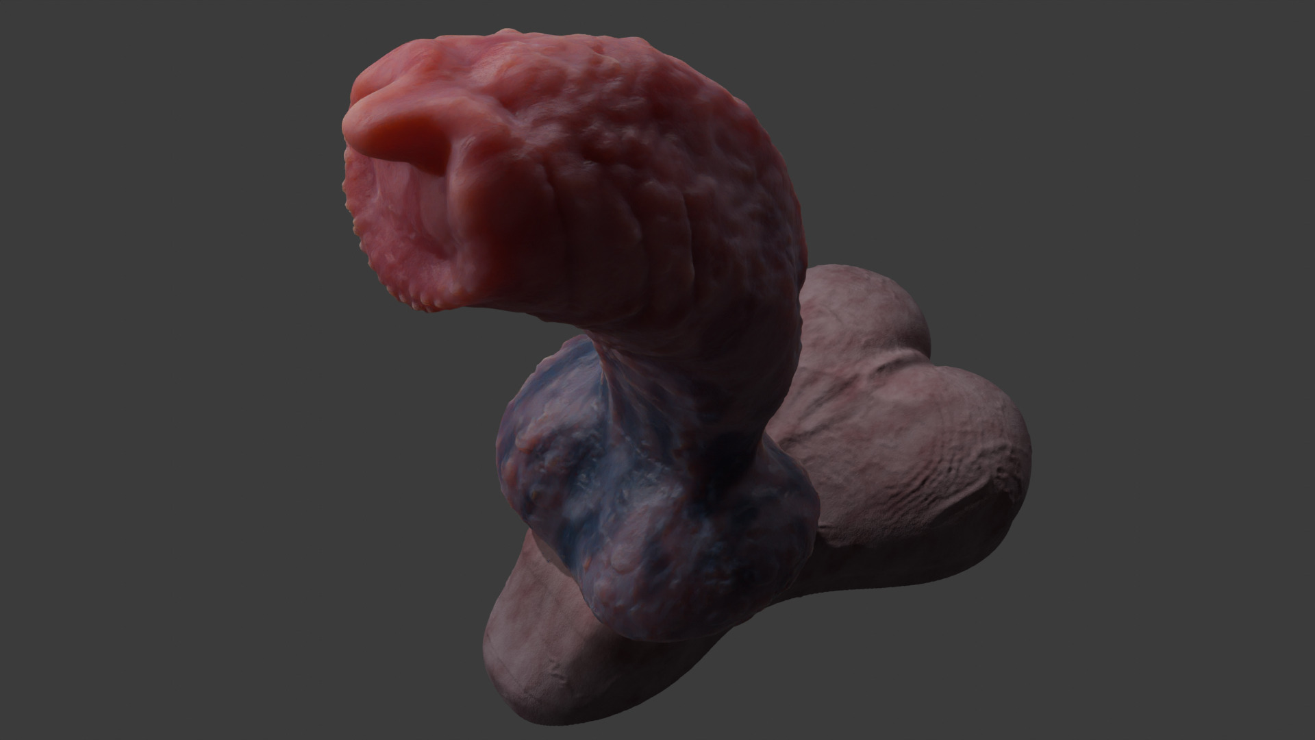 Demon Wolf Penis Rigged Low-poly 3D model_12